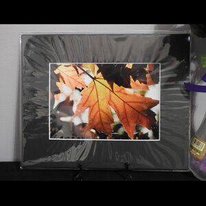 2/$13 Matted Photography Autumn Leaf Close Up, 8x10